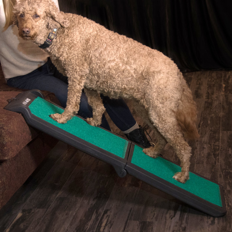 Pet Gear BiFold Travel Lite 25.5" Pet Ramp with SupertraX Mat Wayfair